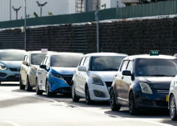 ދެ އަހަރުގެ މެދުކެނޑުމަކަށް ފަހު ޑޮމެއިންގެ ޚިދުމަތްތައް އަލުން ފަށަފައި