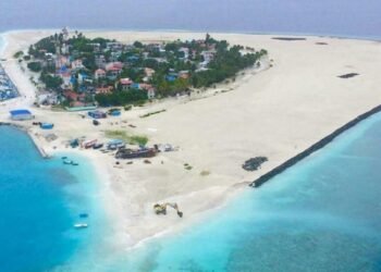 ދ.ކުޑަހުވަދޫގައި ގަސްއިންދުމުގެ ހަރަކާތެއް ކުރިއަށް ގެންގޮސްފި