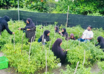 ”ދަނޑުން ދުޅަހެޔޮކަން“ ނަމުގައި ހޭލުންތެރި ޕްރޮގްރާމެއް ހިންގައިފި