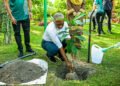ހަތް އަތޮޅަކަށް ހައިވަކަރު ގަސް ބެހުމުގެ މަސައްކަތް ފަށައިފި