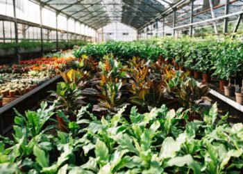 އުތުރުގެ ތިން އަތޮޅެއްގެ އިސްދަނޑުވެރިން ތަމްރީން ކޮށްފި