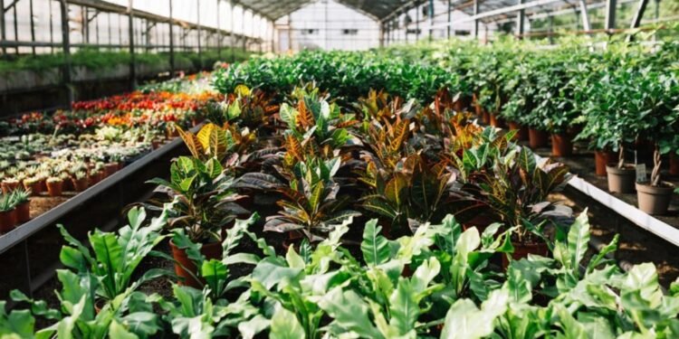 އުތުރުގެ ތިން އަތޮޅެއްގެ އިސްދަނޑުވެރިން ތަމްރީން ކޮށްފި