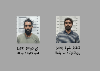 ވަޅިން ބިރުދައްކައިގެން ފައިސާ ފޭރުނު ދެމީހަކު ހައްޔަރުކޮށްފި