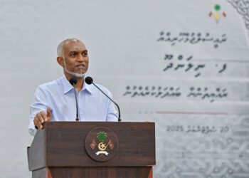 ޤަވާއިދާ ޚިލާފަށް  ވިޔަފާރި ކުރާ ބިދޭސީން ހޯދާ ފިޔަވަޅު އެޅުމުގެ ޤައުމީ ފެންވަރުގެ އޮޕަރޭޝަނެއް އާދިއްތަ ދުވަހު ފަށަނީ