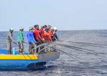 މިހާތަނަށް 49 މަސްވެރިޔަކަށް ލޯނު ދޫކޮށްފި