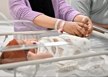 ފާޓިލިޓީ ފަންޑުން އައިވީއެފް ހަދަން 50 ދެމަފިރިއަކަށް ފުރުސަތު ހުޅުވާލައިފި