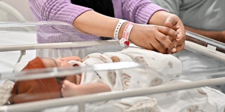 ފާޓިލިޓީ ފަންޑުން އައިވީއެފް ހަދަން 50 ދެމަފިރިއަކަށް ފުރުސަތު ހުޅުވާލައިފި