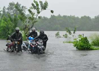 ނުވަރަލިޔާއަށް ދިޔަ ދިވެހި އާއިލާއެއް ގެއްލިގެން ހޯދަނީ