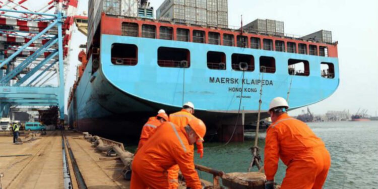 ދިވެހި 200 ސީމަނުންނަށް ސީފެއަރަސް އައިޑެންޓިޓީ ޑޮކިއުމަންޓް ދޫކޮށްފި