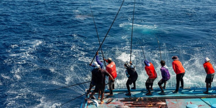 މަސްވެރިކަމުގެ ލައިސަންސަށް އެދި ހުށައެޅުން ”ކެޔޮޅު“ ޕޯޓަލް މެދުވެރިކޮށް