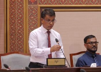 ދުންފަތާ ގުޅިގެން އަޅާ ފިޔަވަޅުތަކަކީ ކުށްތައް އިތުރުވާން ޖެހޭ ސަބަބެއް ނޫން: ނާޒިމް