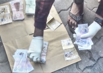 ޑްރަގުގެ ބޮޑުންތަކެއް އައްޑޫން ހައްޔަރުކޮށްފި