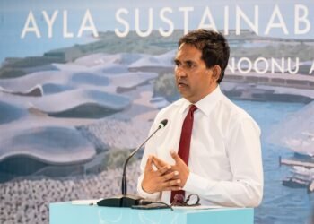 ޓައުންޝިޕް މަޝްރޫއުއަކީ އާމްދަނީ ވައްދައިދޭނެ ބިޔަ މަޝްރޫއެއް