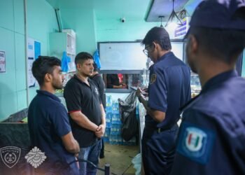 10 ތަނެއް ފާސްކޮށް ގަވައިދާ ހިލާފު ބިދޭސީއަކު އަތުލައިގެންފި