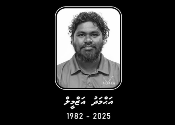 ކަރަންޓްގައި ޖެހި ފިހުނު ސްޓެލްކޯގެ މުވައްޒަފު ނިޔާވެއްޖެ