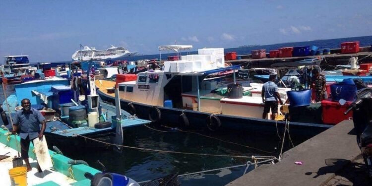 މަގު ފުޅާކުރުމުގެ މަސައްކަތަށް މަސްމާރުކޭޓް ސަރަހައްދުގައި ހުރި ދޯނިތައް ނަގަން އަންގައިފި