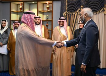 އިންވެސްޓްމަންޓް އިތުރުކޮށް، އާޓިފިޝަލް އިންޓެލިޖެންސްގެ ދާއިރާ ކުރިއަރުވަން ސައުދީއާއެކު މަޝްވަރާކޮށްފި