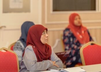 އެޗް ޕީ އޭގެ ޑީޖީ މައިމޫނާ ރިޓަޔަރ ކުރަން ނިންމަވައިފި