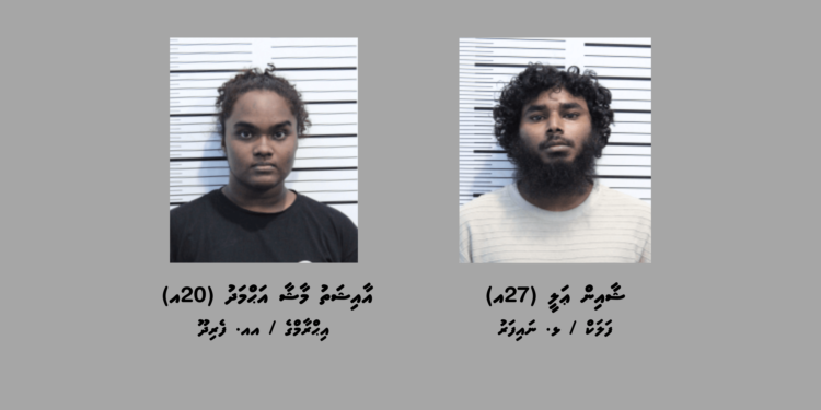 ތިން ކިލޯއަށްވުރެ ގިނަ މަސްތުވާތަކެއްޗާއެކު ދެ މީހަކު ހައްޔަރުކޮށްފި