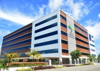 ޓްރީ ޓޮޕުން ހިދުމަތުގެ އަގު ބޮޑުކޮށްފި