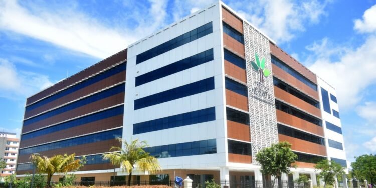 ޓްރީ ޓޮޕުން ހިދުމަތުގެ އަގު ބޮޑުކޮށްފި