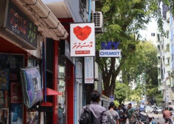 ބޭސް ސިޓީ ފޯޖުކޮށްގެން ކުށުގެ ރެކޯޑް އޮތް މީހަކު ލައްކައަކަށްވުރެ ގިނަ ރުފިޔާގެ ބޭސް ނެގި މައްސަލައެއް!