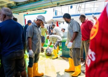 10 ކިލޯ އިން މަތީގެ ކަންނެލި ގަންނަން ފަށައިފި