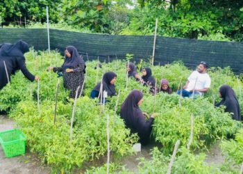 ދަނޑުވެރިން އުފައްދާ ތަކެތި ހަމަ އަގުގައި ވިއްކާނެ ވަގުތީ މާރުކޭޓެއް މާލޭގައި ގާއިމްކުރަނީ