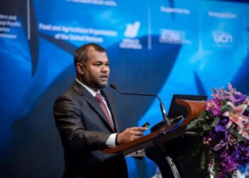 ސްޓެލްކޯގެ އެމްޑީގެ މަގާމުން ސަމާހު ވަކިކޮށްފި