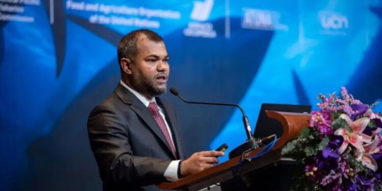 ސްޓެލްކޯގެ އެމްޑީގެ މަގާމުން ސަމާހު ވަކިކޮށްފި