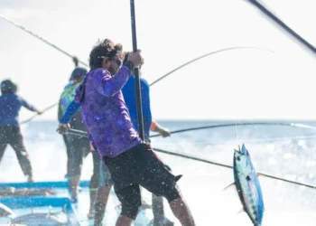 މިފްކޯ އަށް މަސްކިރުވި ދޯނިތަކަށް 1.3 މިލިއަނަށްވުރެ ގިނަ ރުފިޔާ ދޫކޮށްފި