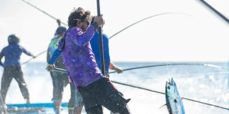 މިފްކޯ އަށް މަސްކިރުވި ދޯނިތަކަށް 1.3 މިލިއަނަށްވުރެ ގިނަ ރުފިޔާ ދޫކޮށްފި