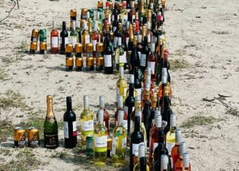 ޅ. ނައިފަރު ޕޮލިސް ސްޓޭޝަނުގެ ބެލުމުގެދަށުގައި ހުރި 159 ފުޅި ބަނގުރާ ނައްތާލާއިފި