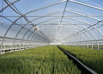 ހދ. ވައިކަރަދޫގައި ގްރީން ހައުސް އަޅައިފި