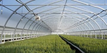 ހދ. ވައިކަރަދޫގައި ގްރީން ހައުސް އަޅައިފި