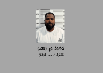 ގއ. ވިލިނގިލި ފަޅުގައި އޮތް ލޯންޗަކުން މަސްތުވާތަކެތީގެ މައްސަލައެއްގައި މީހަކު ހައްޔަރުކޮށްފި