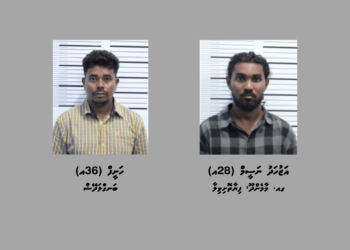 ތިން ކިލޯއަށް ވުރެ ގިނަ މަސްތުވާ ތަކެއްޗާއެކު ބިދޭސީއަކާ ދިވެއްސަކު ހައްޔަރުކޮށްފި