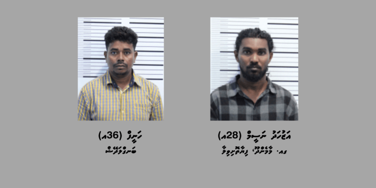 ތިން ކިލޯއަށް ވުރެ ގިނަ މަސްތުވާ ތަކެއްޗާއެކު ބިދޭސީއަކާ ދިވެއްސަކު ހައްޔަރުކޮށްފި