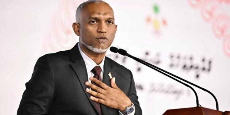 ޑިމޮކްރެޓިކް ވެށްޓެއް ކަށަވަރުކުރަން ބޮޑު ދައުރެއް އަދާކުރަނީ ޒިންމާދާރު ނޫސްވެރިން – ރައީސް