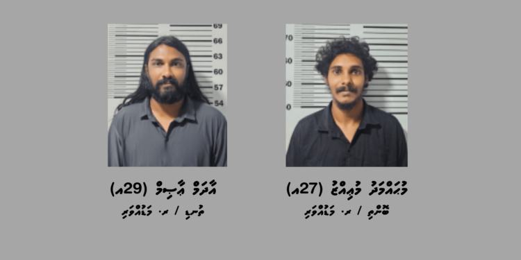 ރ. މަޑުއްވަރީގައި ފުލުހުން ހިންގި އޮފަރޭޝަނެއްގައި މަސްތުވާތަކެތީގެ ވިޔަފާރިކުރާ ބަޔަކު ހައްރުކޮށްފި