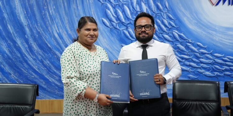 މިފްކޯގެ ސެންޓަރުތަކުން މަސްވެރިންނަށް ކްރެޑިޓަށް ތެޔޮ ލިބޭނެ އިންތިޒާމު ހަމަޖައްސައިފި