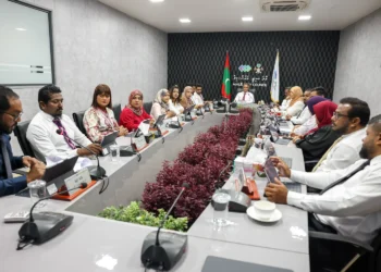 މާލެސިޓީގެ މަގުތަކުގައި އެލްއީޑީ ސްކްރީންތައް ހަރުކުރުމާ ގުޅޭ ޤަވާއިދެއް ހަދަނީ